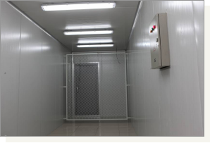 物聯(lián)網智能箱式機房